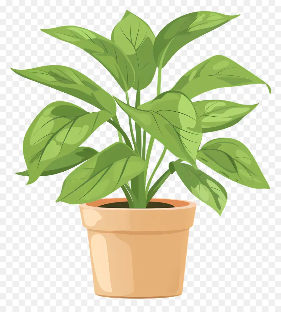 Planter En Pot，Plante En Pot PNG