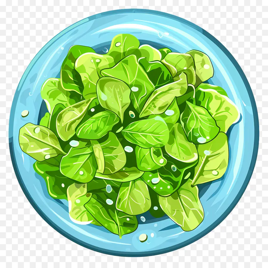 Salade Verte，Feuilles Vertes Fraîches PNG