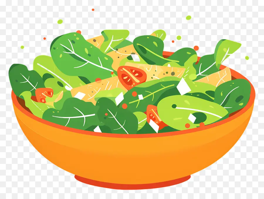 Salade Verte，Salade PNG