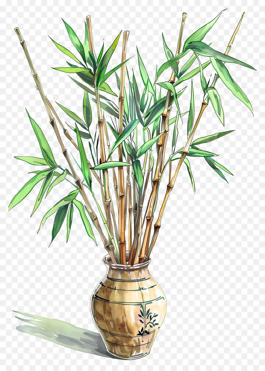 Bambou Dans Un Vase，Plante De Bambou PNG