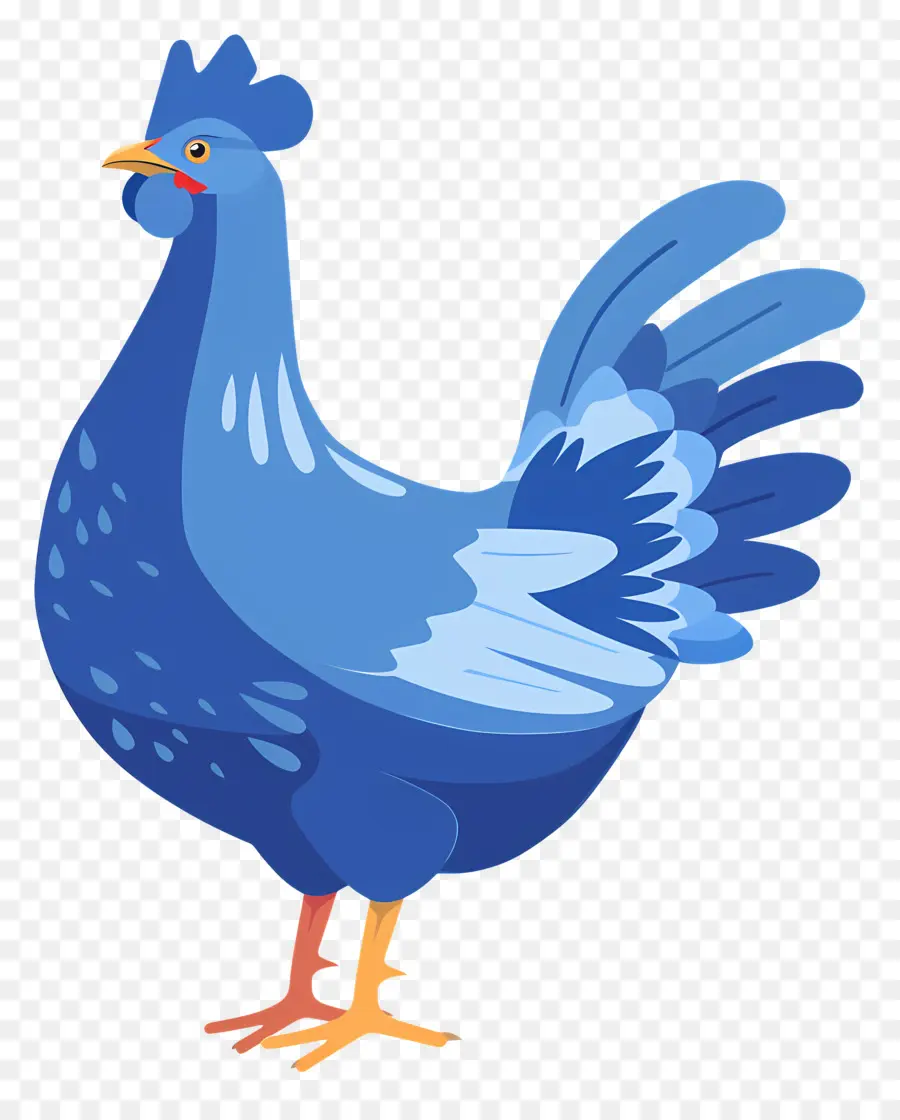 Poule，Bleu Coq PNG