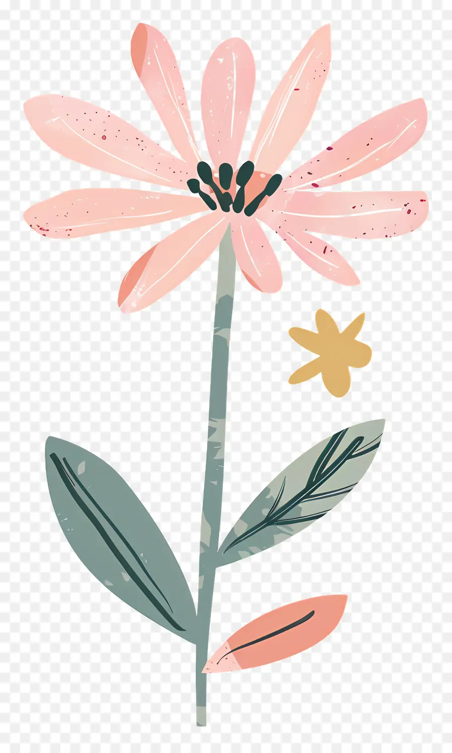 Marguerite Rose，Fleur PNG