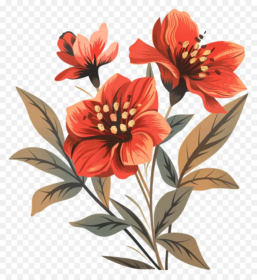 Vintage Fleur，Fleurs Orange Et Rouge PNG