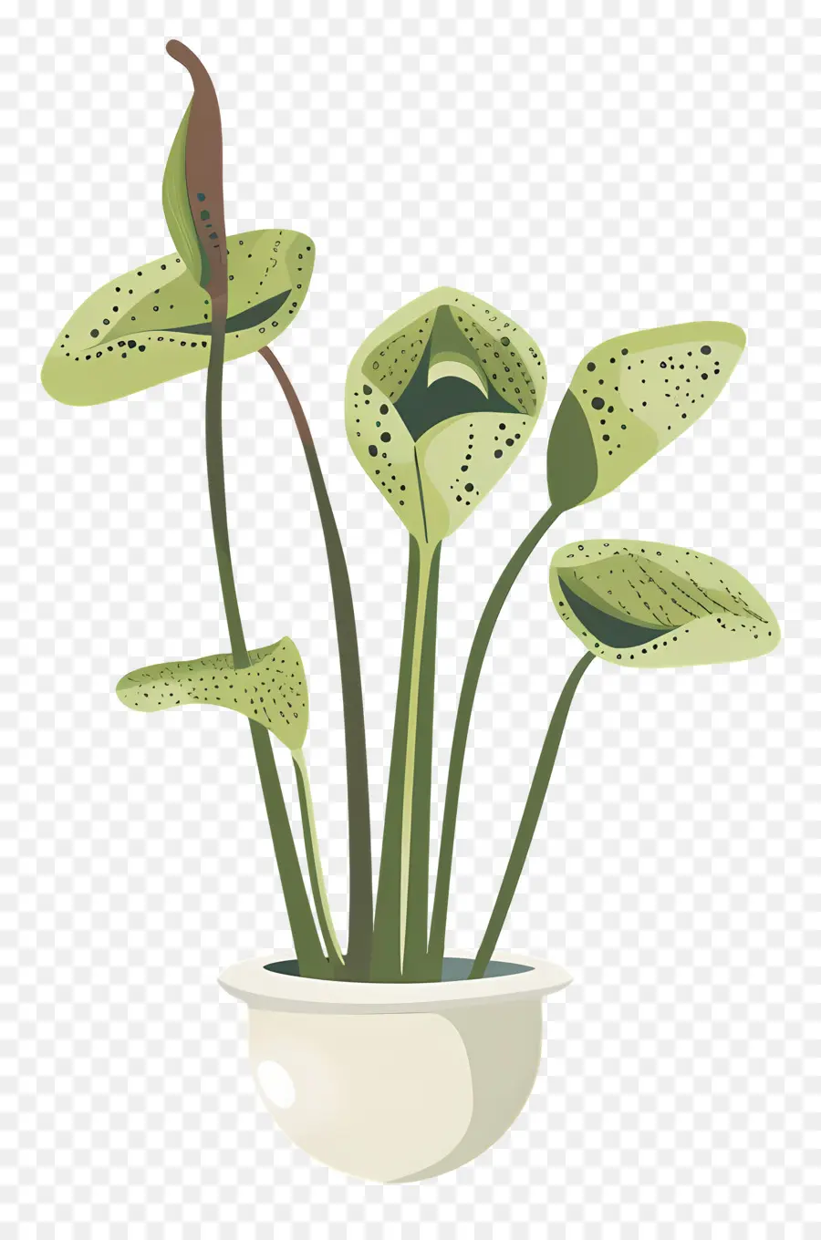 Cruche Plante，Vénus Flytrap PNG