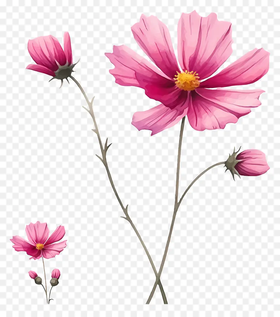 Fleur，Emoji PNG