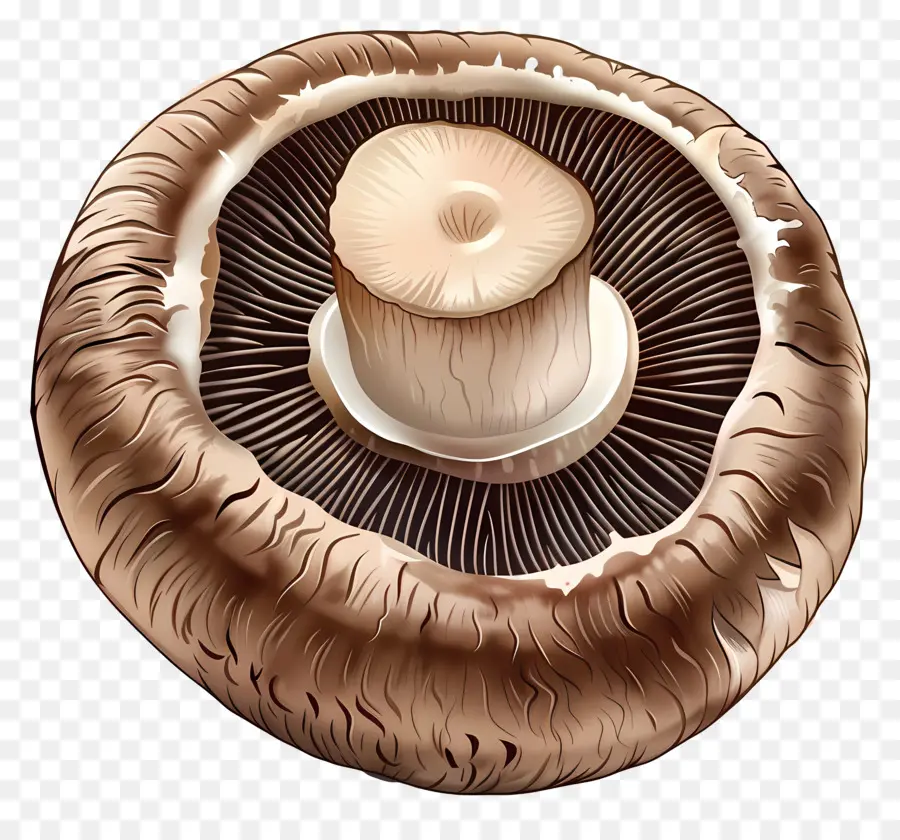 Champignon Portobello，Champignons PNG