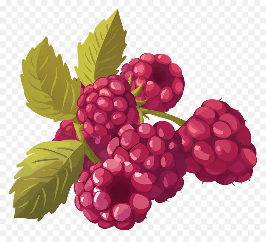 Framboises，Rouge PNG