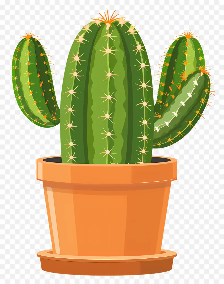 Cactus En Pot，Cactus PNG