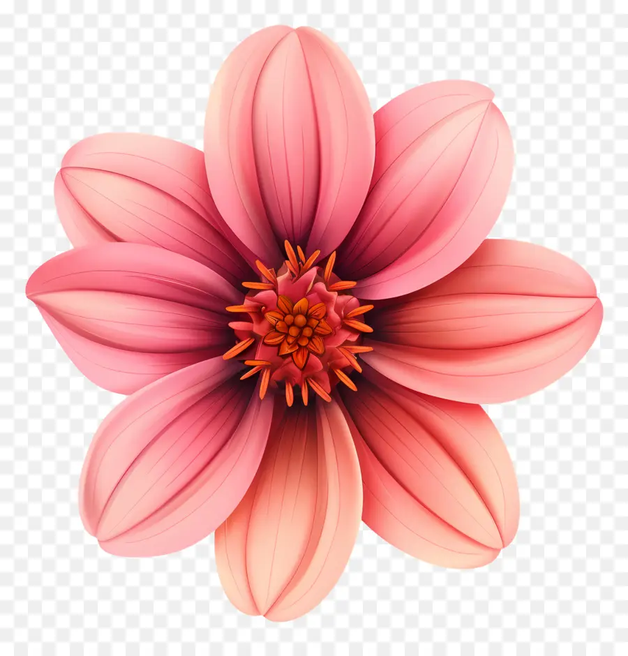 Fleur，Rose PNG