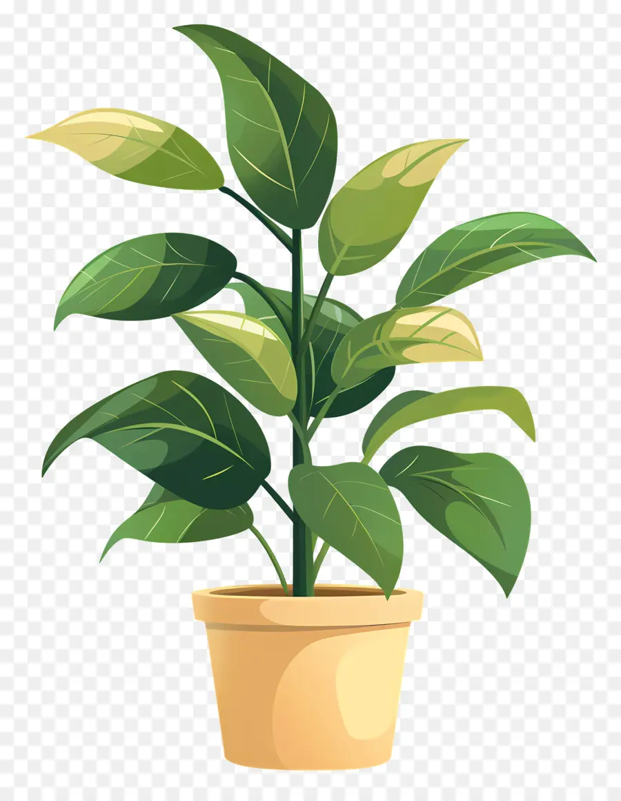 Plante En Pot，Feuilles Vertes PNG