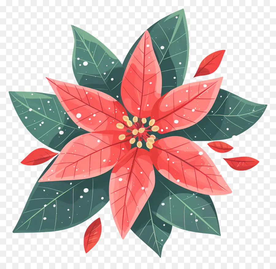 Fleur D'hiver，Poinsettia PNG