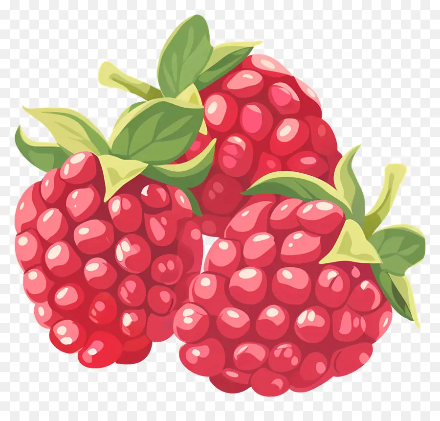 Framboises，Baies PNG