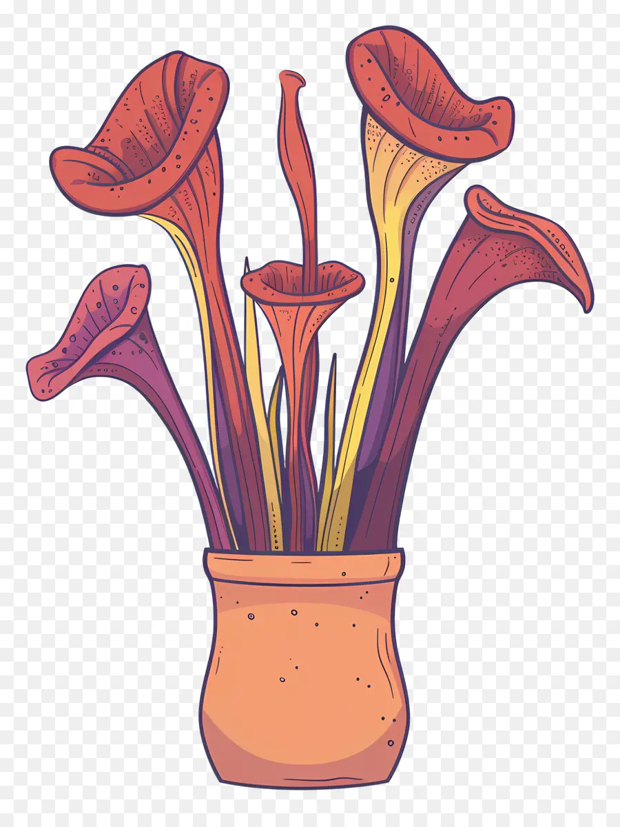 Cruche Plante，Trompette Des Fleurs PNG