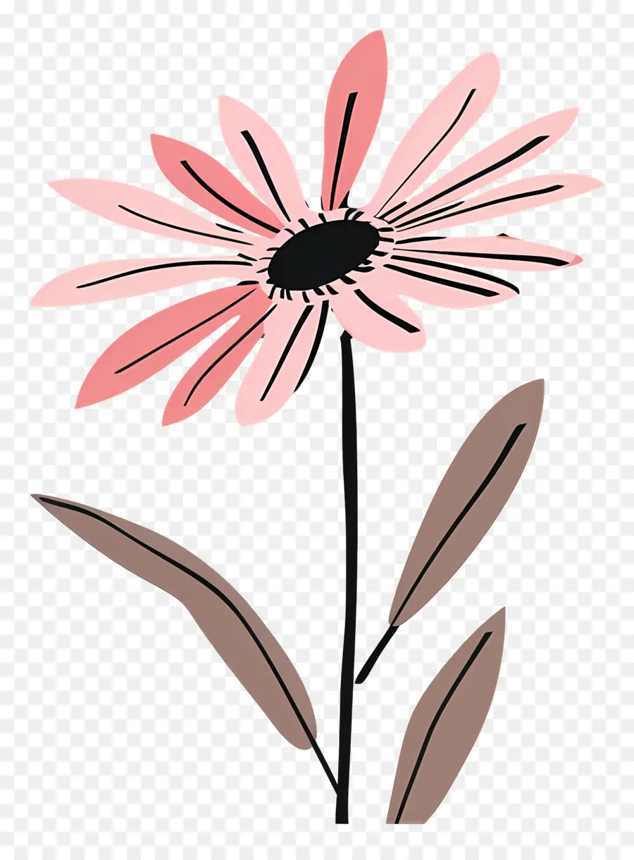 Marguerite Rose，Dessin Animé Fleur Rose PNG