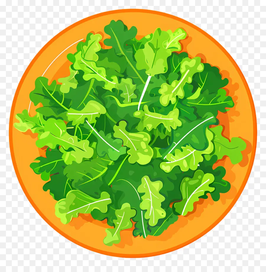 Salade Verte，Salade PNG