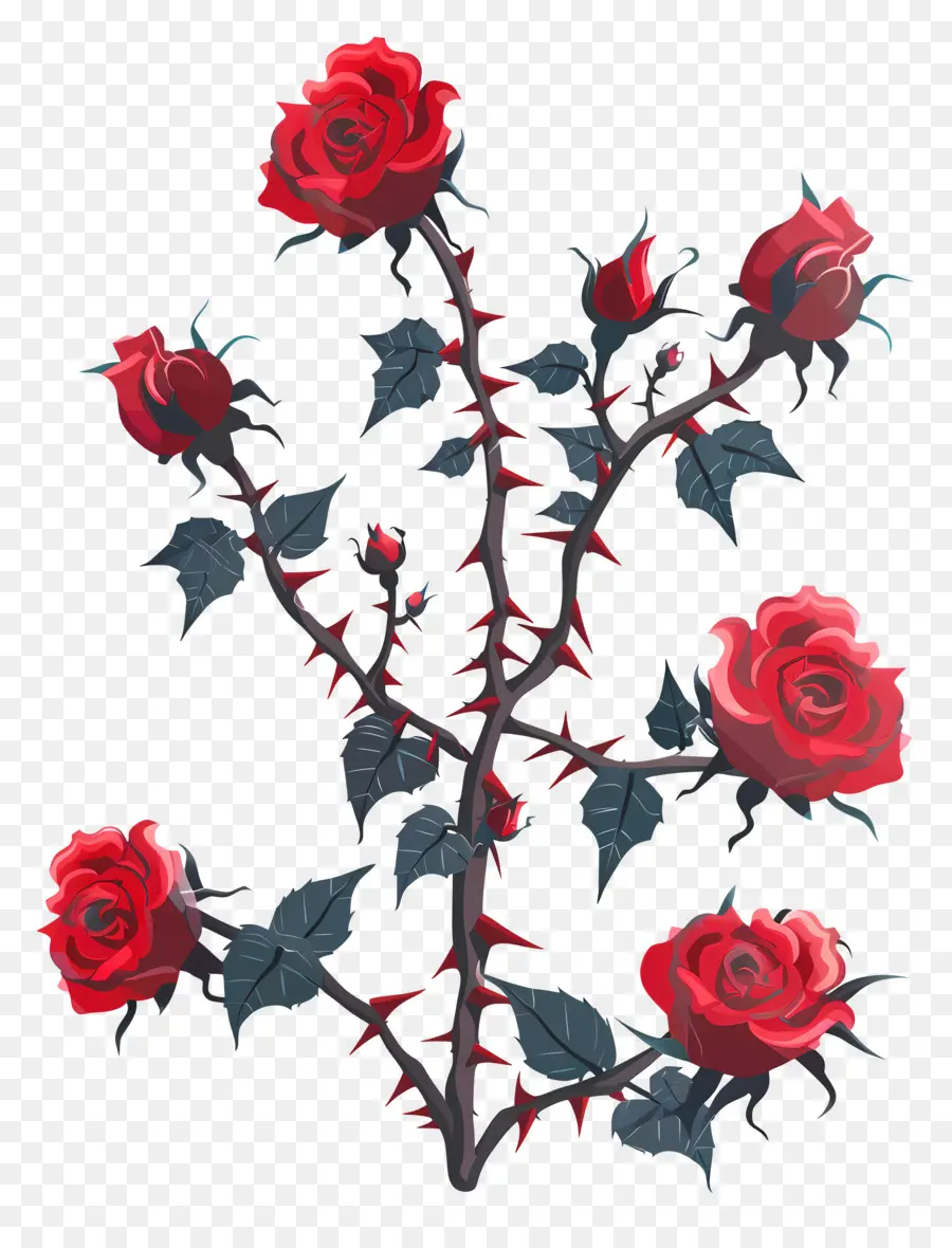 épines De Rose，Les Roses Rouges PNG