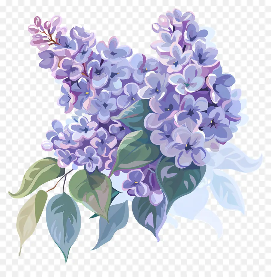 Lilas Esthétique，Bouquet Lilas PNG