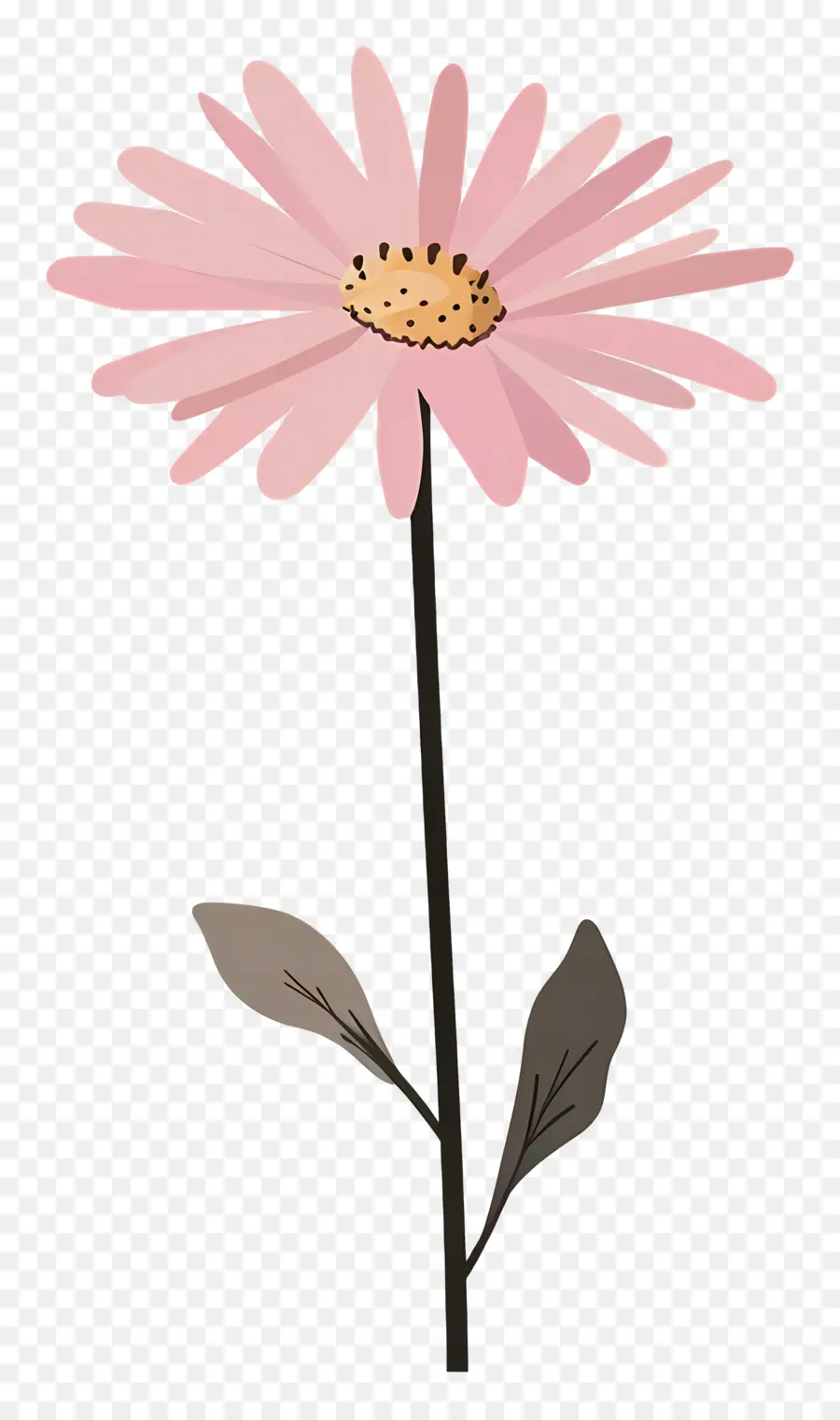 Marguerite Rose，Fleur PNG