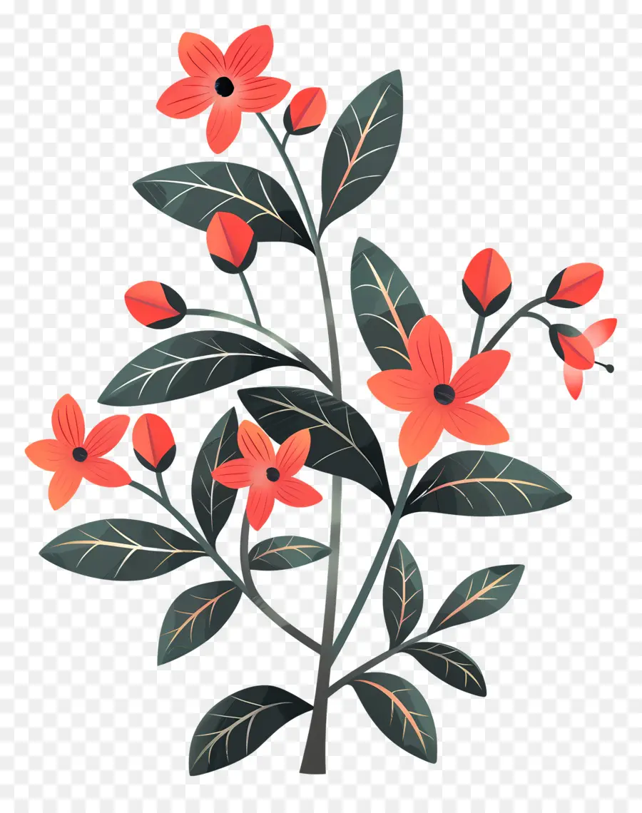 Des Fleurs D'orange，Plante à Feuilles Vertes PNG