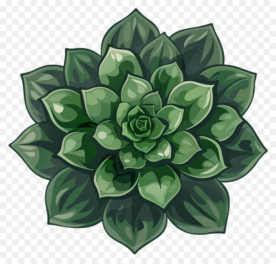 Plante Succulente，Le Métal De La Plante PNG