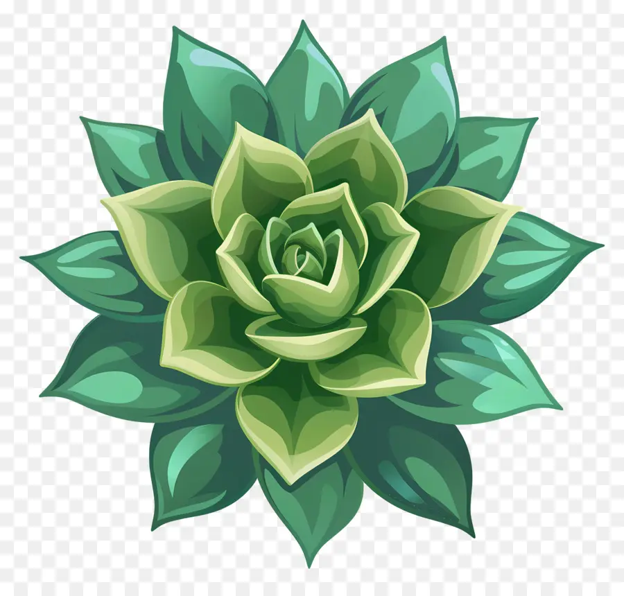 Plante Succulente，Plante Verte PNG