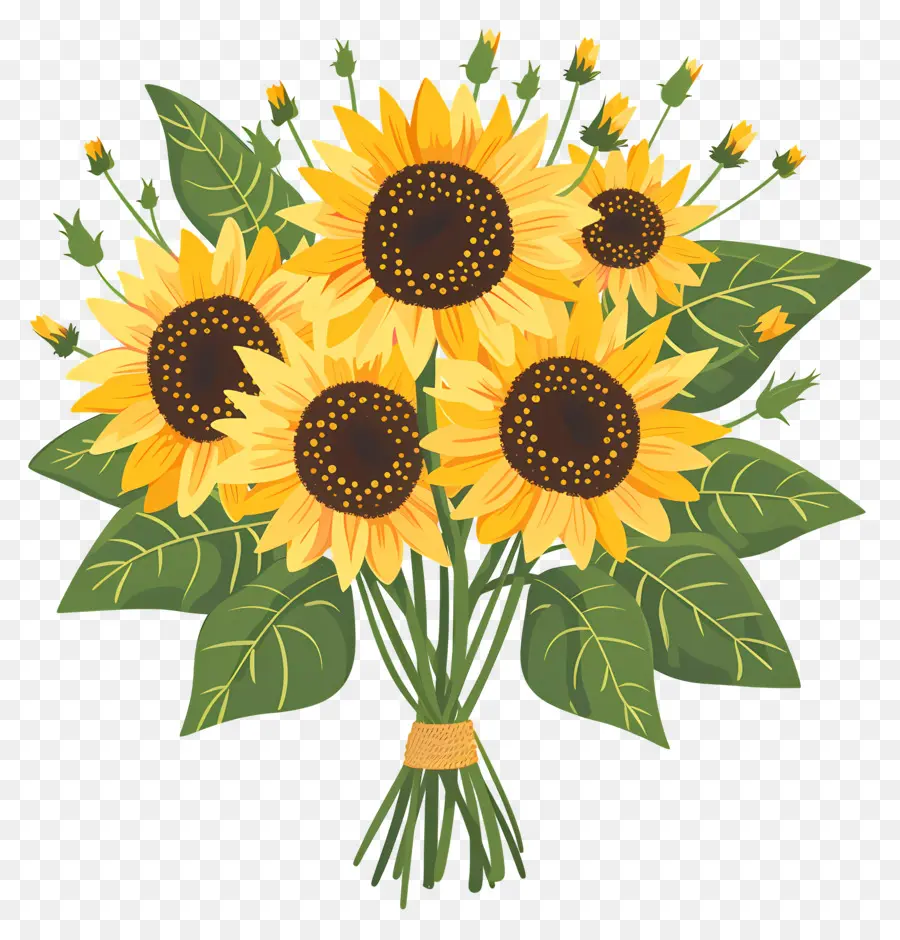 Bouquet De Tournesol，Tournesol PNG