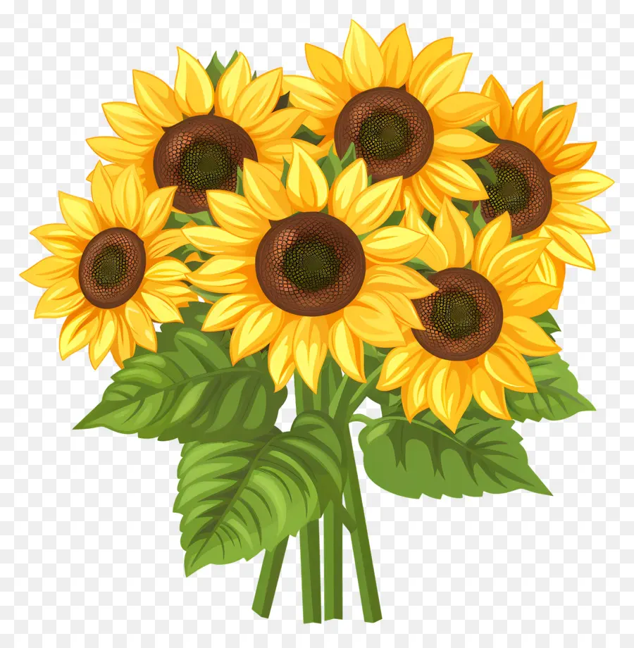 Bouquet De Tournesol，Tournesols PNG