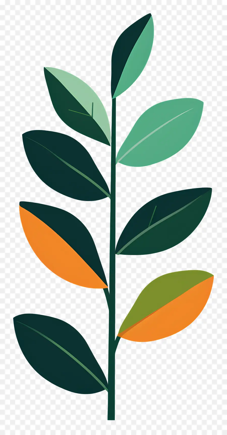 Tige De La Plante，Plante Verte PNG