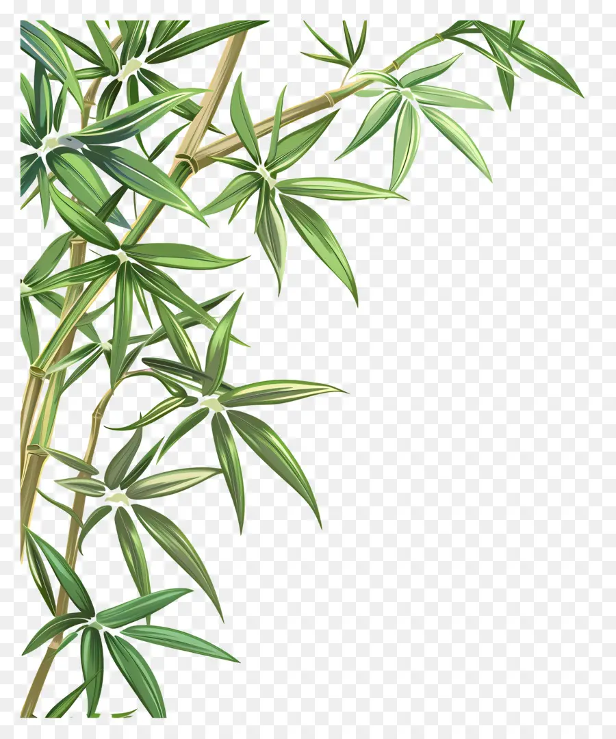 Bordure De Feuille De Bambou，Bambou PNG