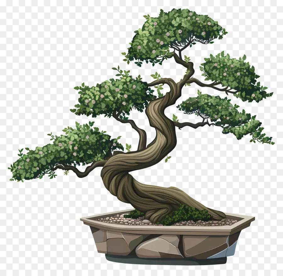 Bonsaï，Arbre Miniature PNG