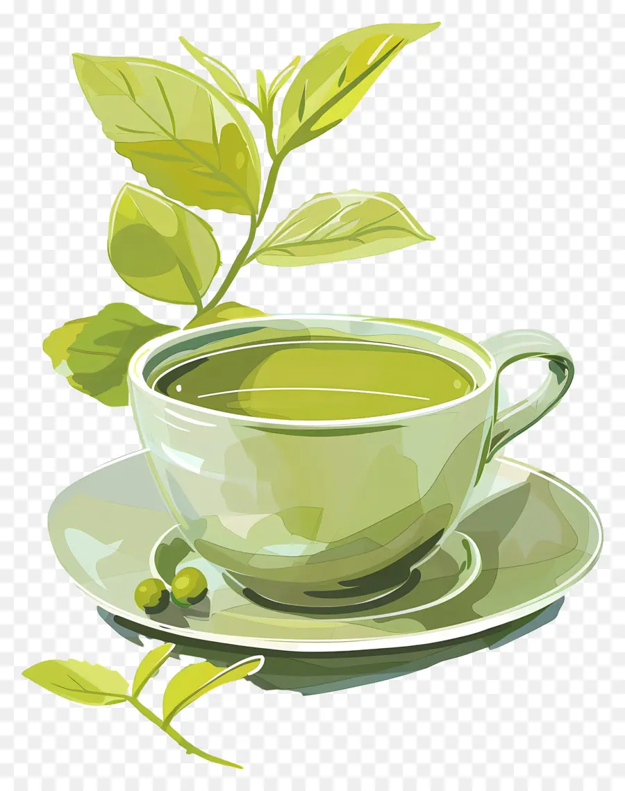 Thé Vert，Tasse à Thé PNG
