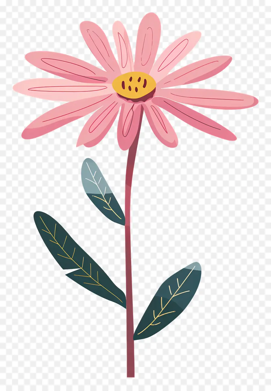 Marguerite Rose，Fleur Rose PNG