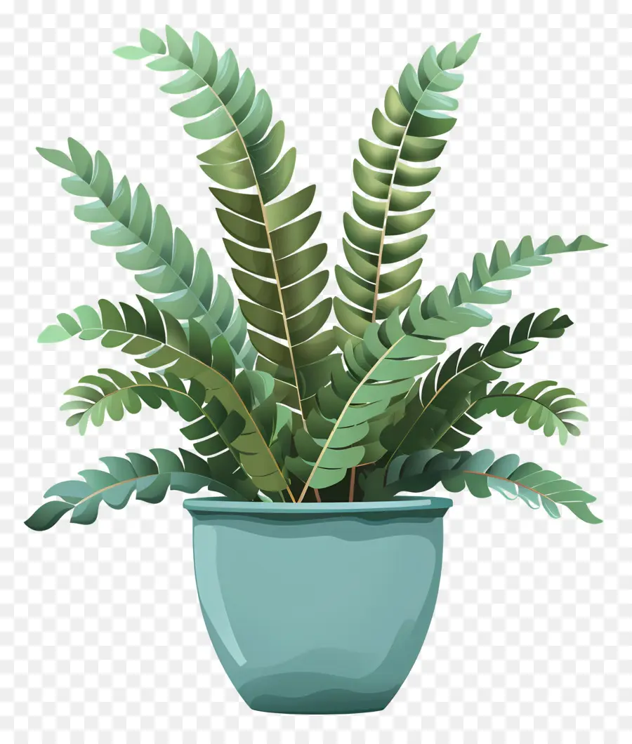 Plante De Fougère，Bleu Pot PNG