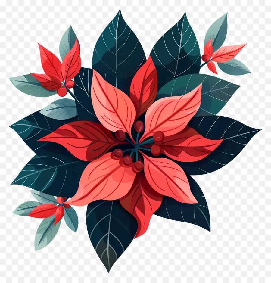 Fleurs D'hiver，Poinsettia PNG