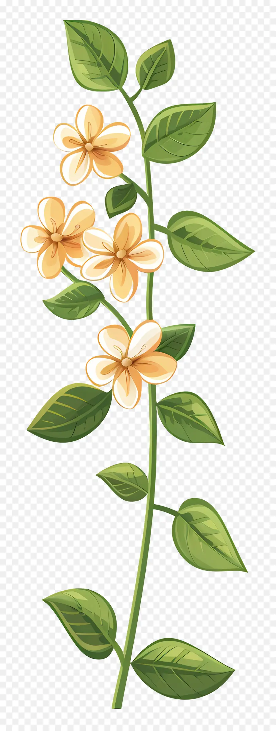 Plante，Fleurs PNG