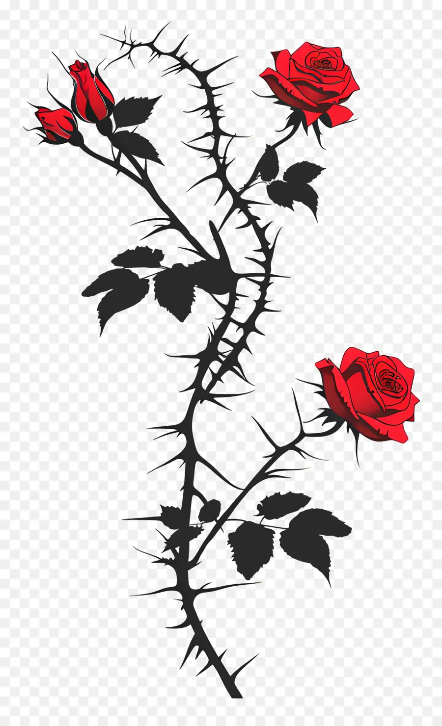 épines De Rose，Les Roses Rouges PNG