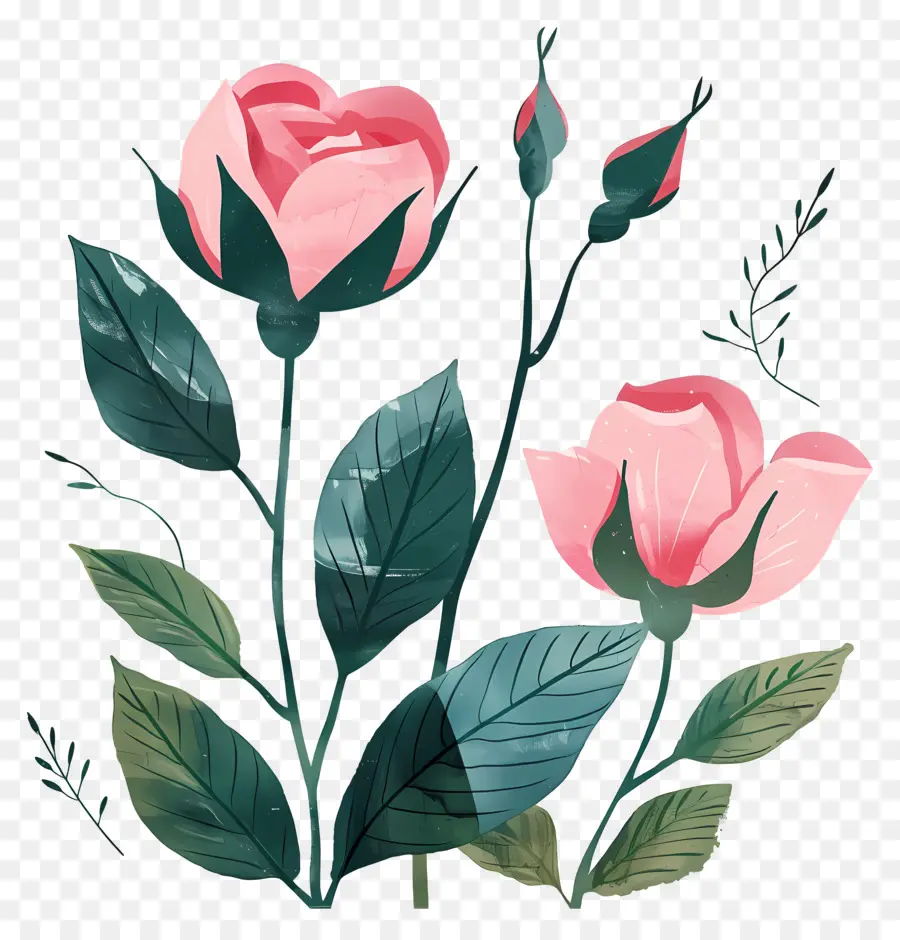 Boutons De Roses，Rose PNG