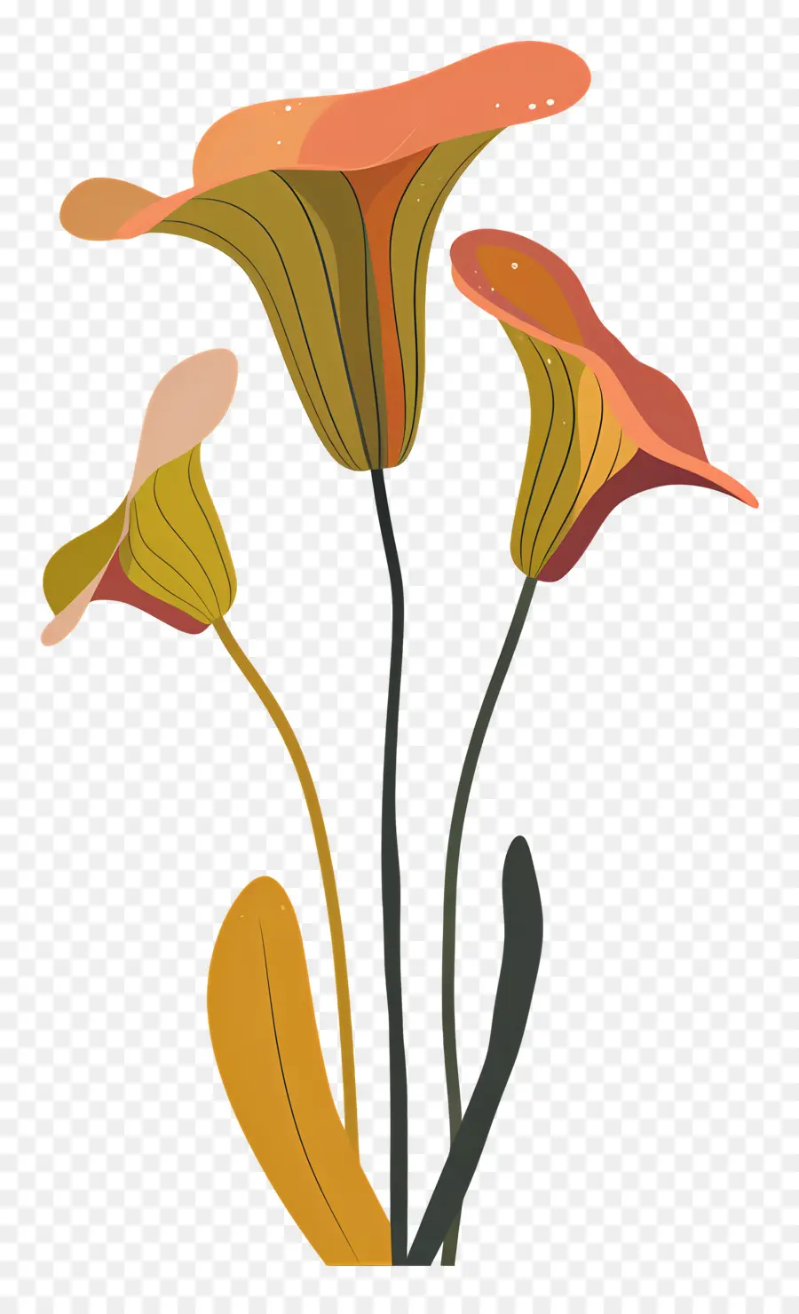 Cruche Plante，Des Fleurs D'orange PNG