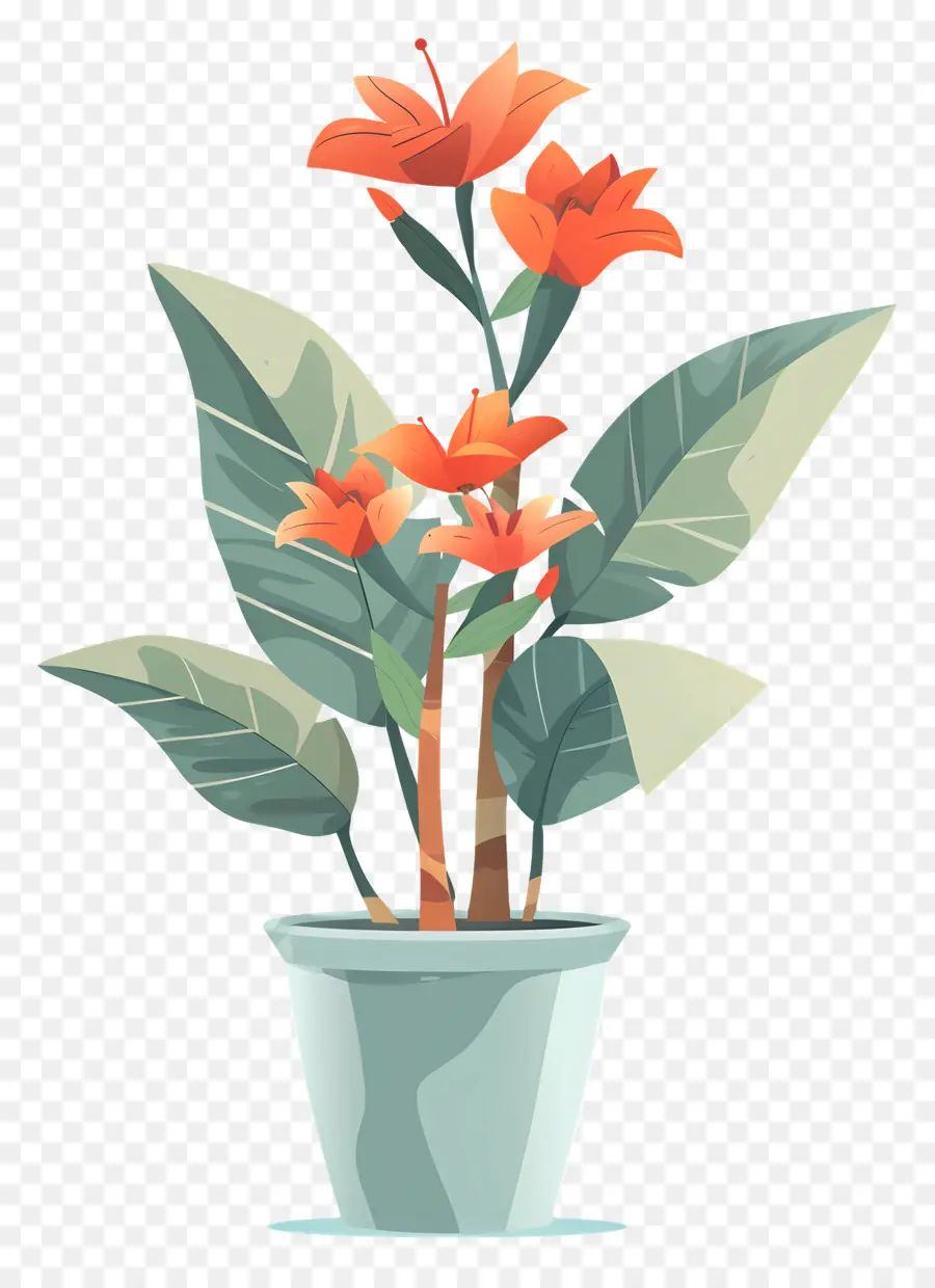 Plante En Pot，Des Fleurs D'orange PNG