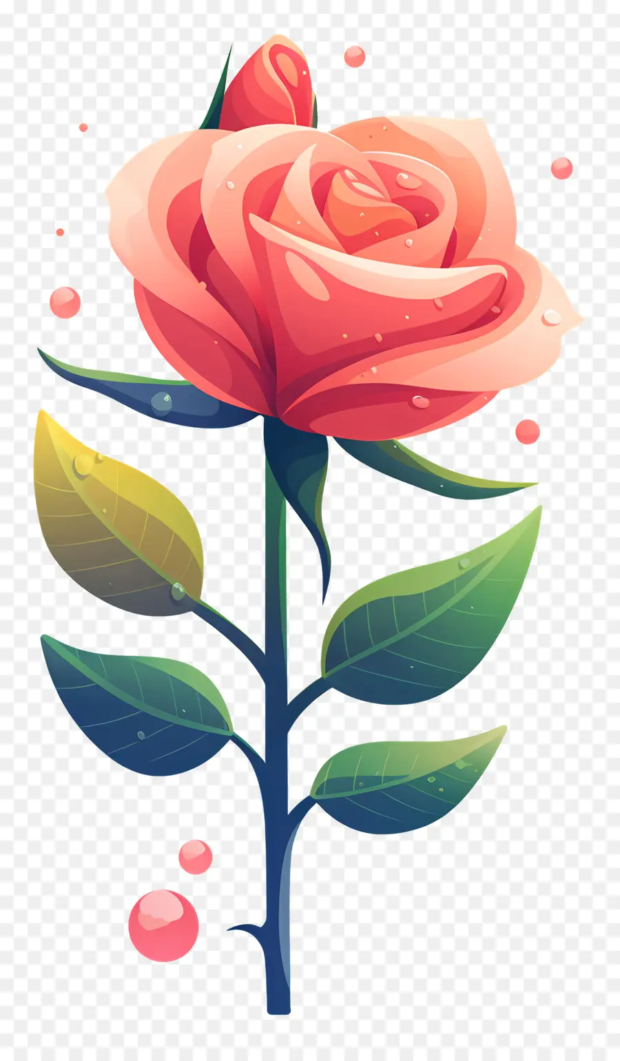 Rose Avec Des Gouttes De Rosée，Rose Rose PNG