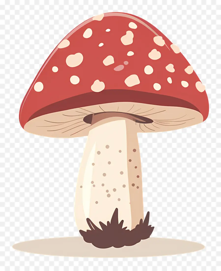Champignons，Rouge PNG
