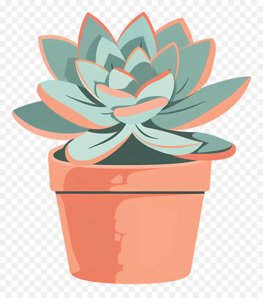 Plante Succulente，Plante En Pot PNG