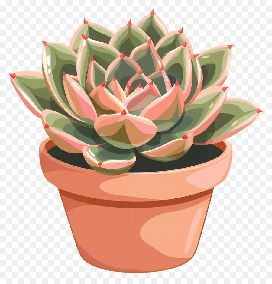 Plante Succulente，Mis En Pot PNG