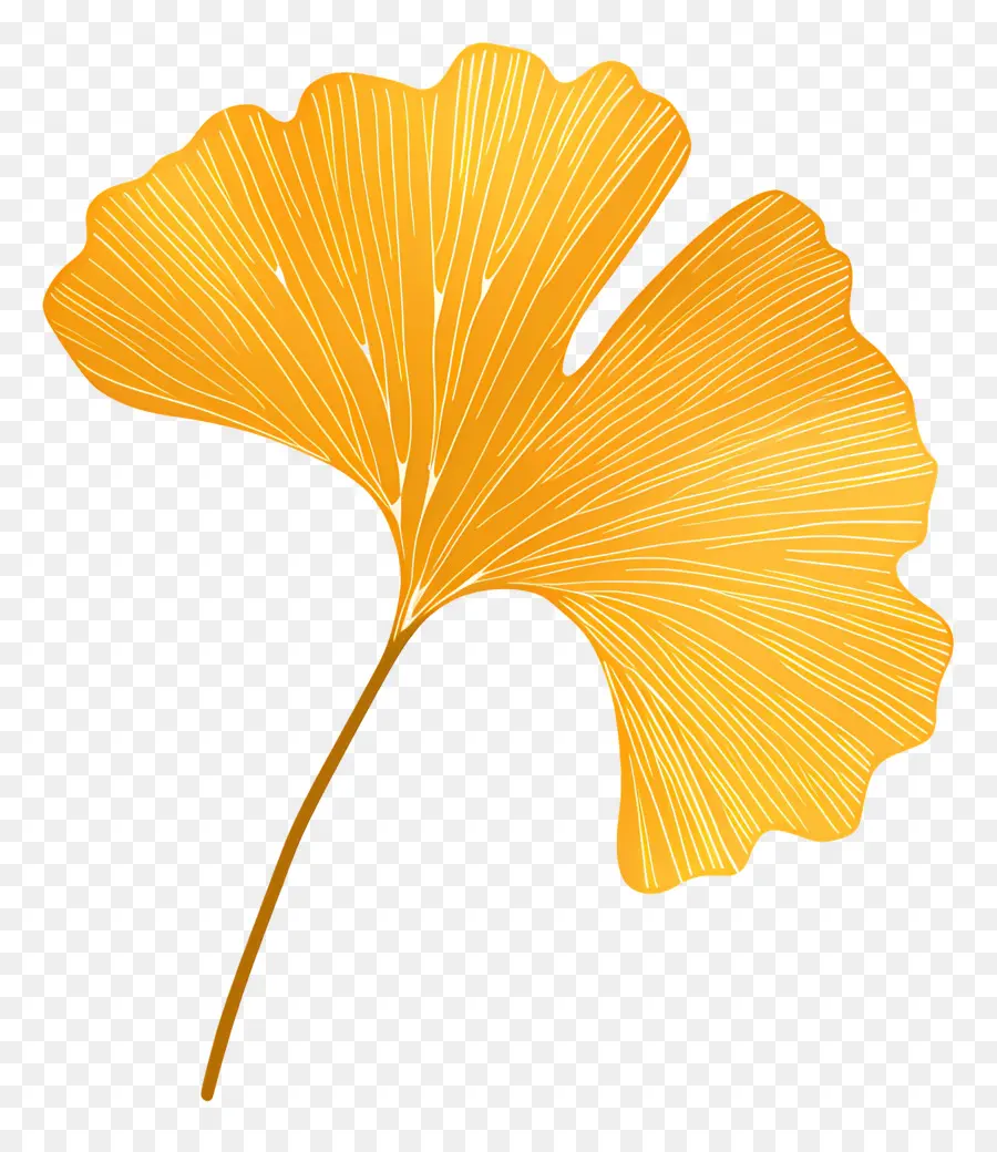 Feuille De Ginkgo，Or PNG