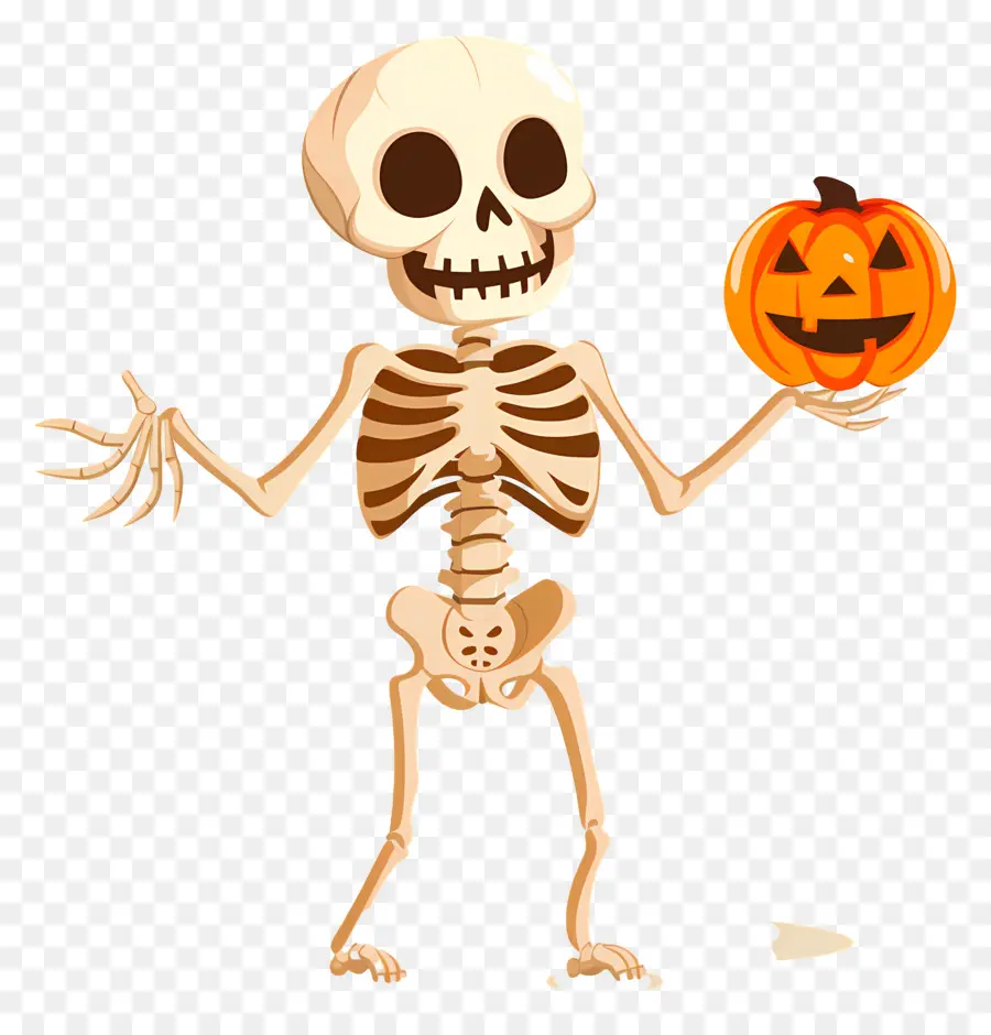 Halloween Squelette，Squelette PNG