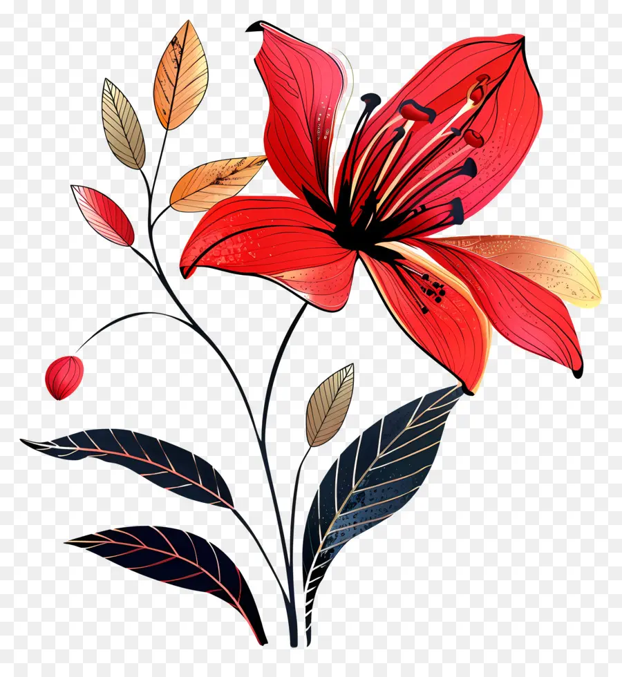 Fleur，Fleur Rouge PNG