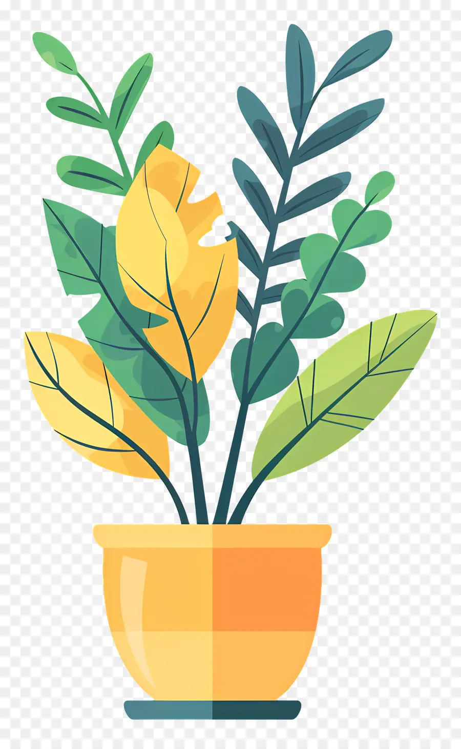 Plante De Fougère，Plante En Pot PNG