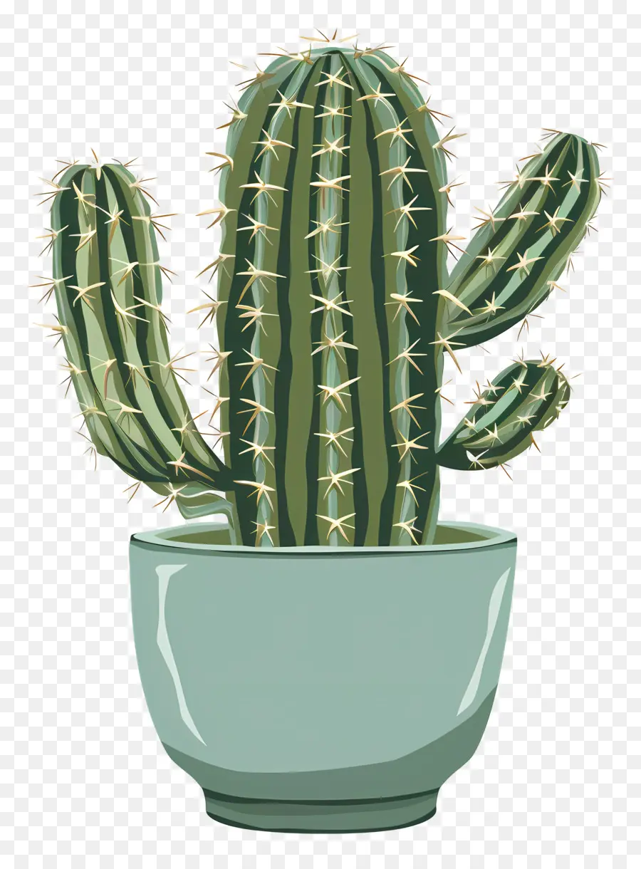 Vert Cactus，Cactus PNG