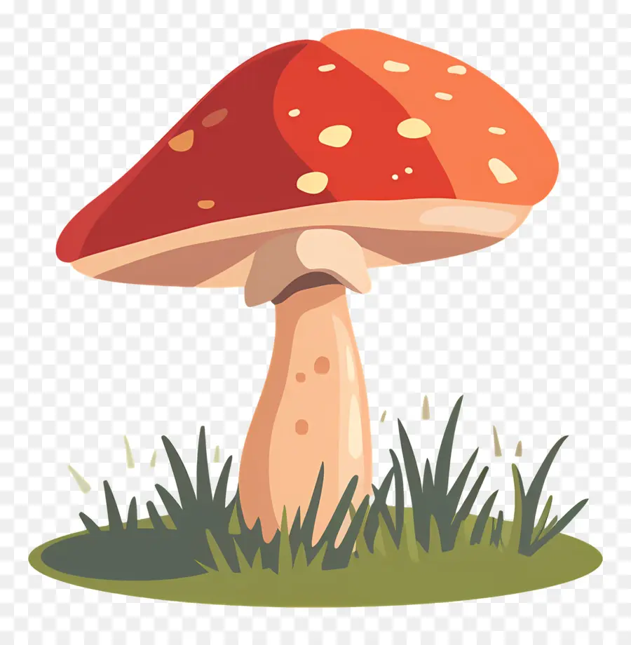 Champignons，Casquette Rouge PNG