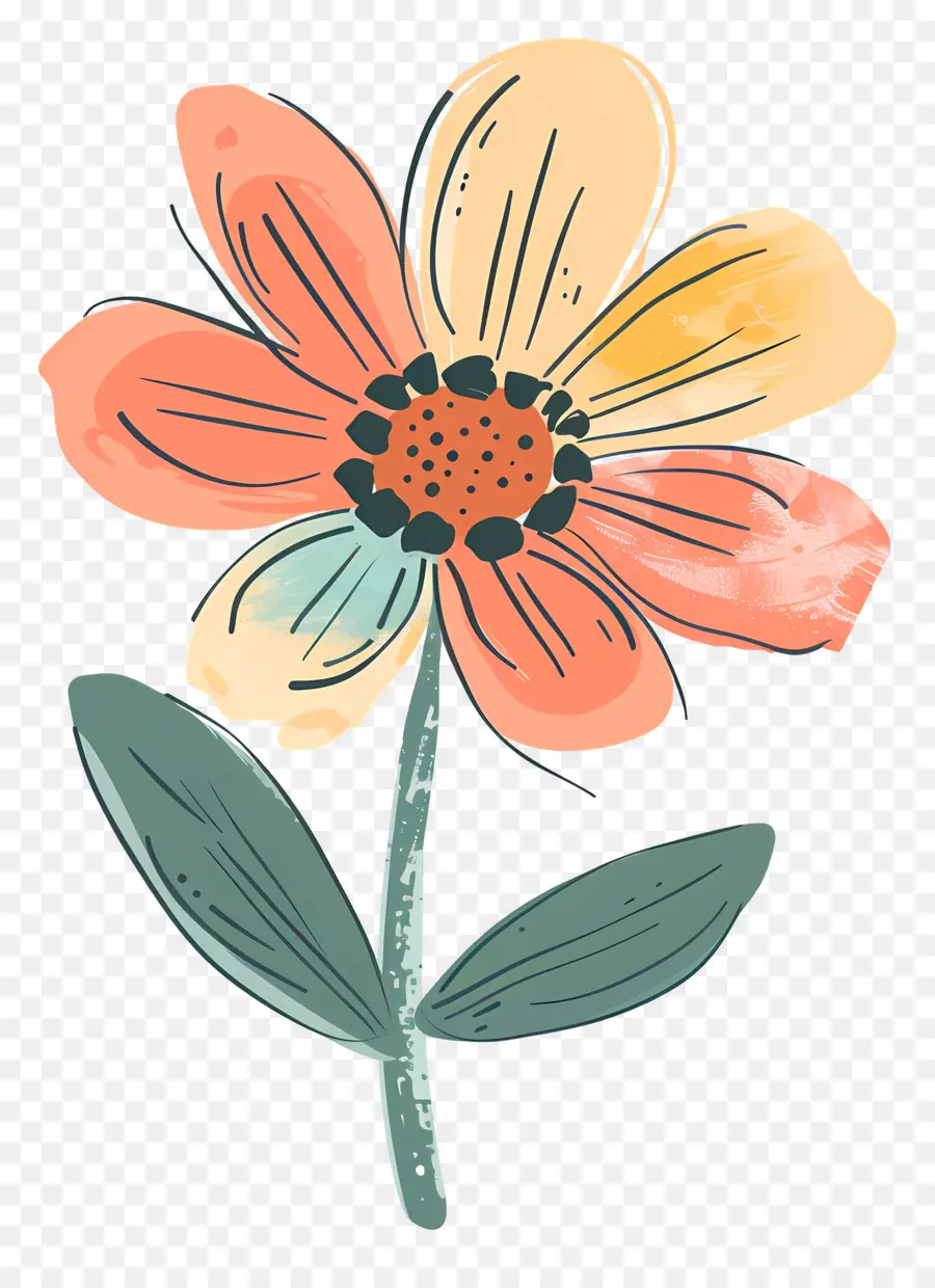 Dessin Animé De Fleurs，Fleur D'esquisse PNG